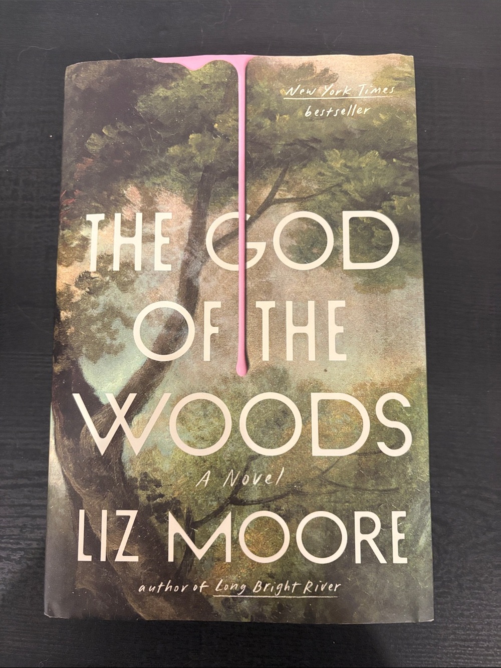 The God of the Woods by Liz Moore - hard cover